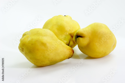 Quitten