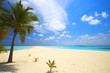 Infinity tropical beach