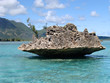 Crystal Rock Mauritius