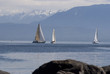 Three Sails
