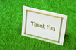 Thank You