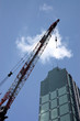 Crane 01