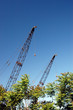Crane 02