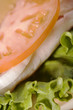 Turkey Sandwich