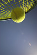 Action Tennis - Tennis racket and yellow tennis ball sky blue