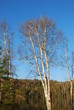 paysage