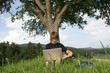 Photo: Studying on campus Studying on campus