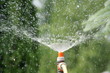 wasser