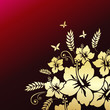 Floral design. Hibiscus.