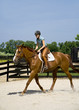 Young lady horseback riding