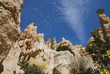 les orgues les orgues
