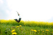 Happy young woman jumping Happy young woman jumping
