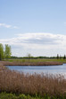 Wetlands