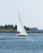 Voilier