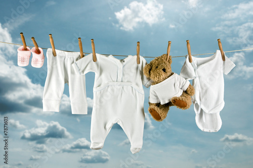 Teddy and laundry
