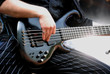 bassist
