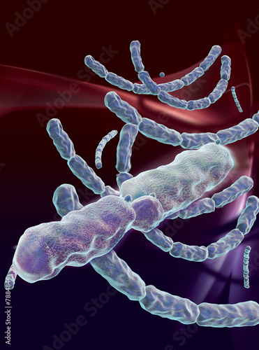 Illustration: 3D rendered conceptualization of Anthrax Bacterial 3D rendered conceptualization of Anthrax Bacterial