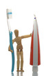 manikin with toothbrush and toothpaste