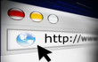 world wide web browser