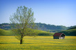 Frühling im Murnauer Moos