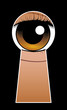 Eye in lock Eye in lock