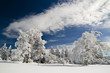 Winter 2 Winter 2