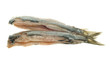 dutch herring
