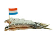 dutch herring