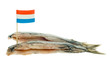 dutch herring