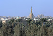 Mosqueé des palmier
