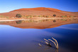 lac dans le desert en namibie lac dans le desert en namibie