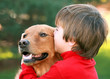 Boy Kissing Dog Boy Kissing Dog
