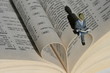 coeur,amour,lire,livre,lecture,