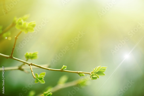 400_f_7942497_rzlqcdox9sotqvjorkwm7cytcynokpy1