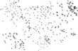 Vektor: flock of pigeons flying flock of pigeons flying