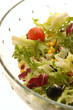 Insalatona