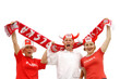 A fényképek részletei Polish soccer fans