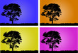 Landscape and tree silhouette into four colors