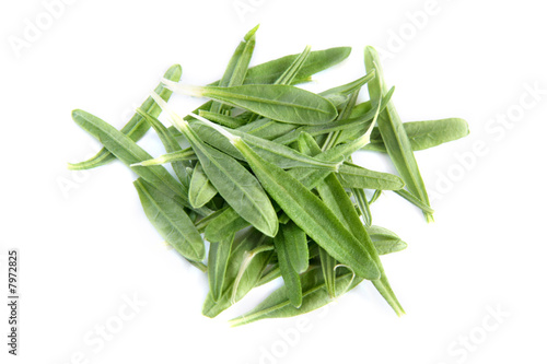 fresh rosemary leaves