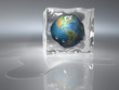 Frozen Earth