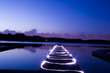 Night Lights