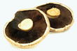 Portabella Mushrooms back side view. Portabella Mushrooms back side view.