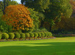 Peaceful autumn