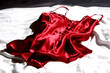 Rote Satin Dessous II