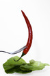Salatschote I
