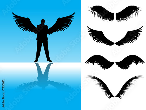 Vector: Collection of detailed angel or bird wings. Collection of detailed angel or bird wings.