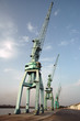 Grues Kenitra