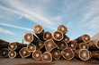 grumes en piles