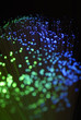 Optic fibers