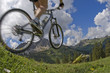 mountainbike5